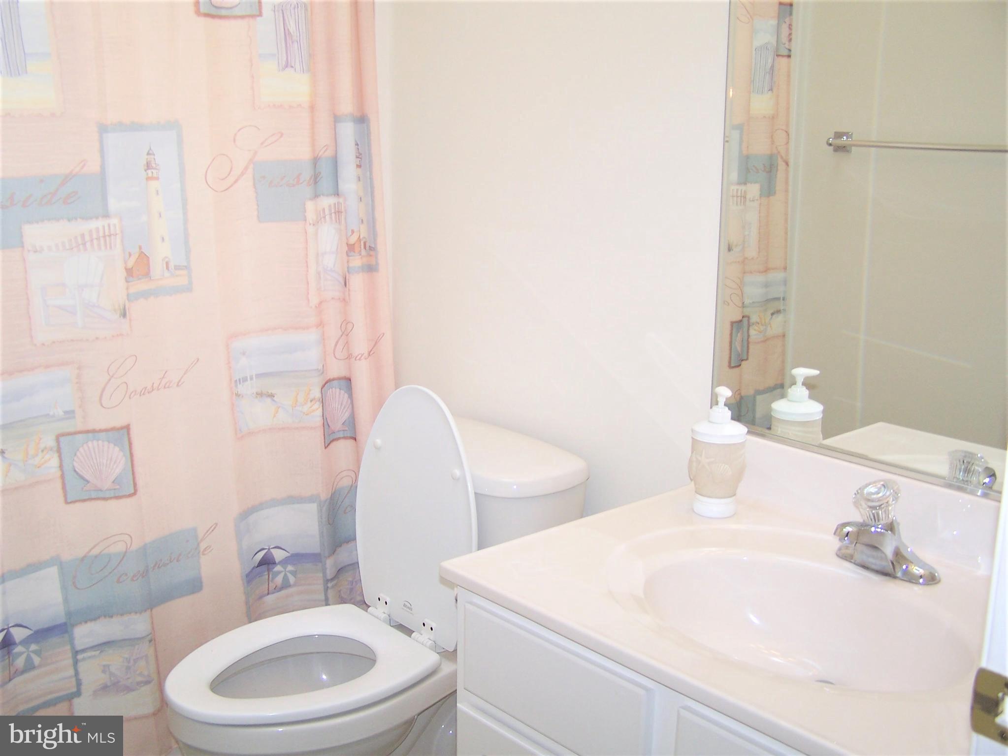 190 Pine Tree Road Ocean City, MD 21842 - Photo 38 of 60 Hall Bath