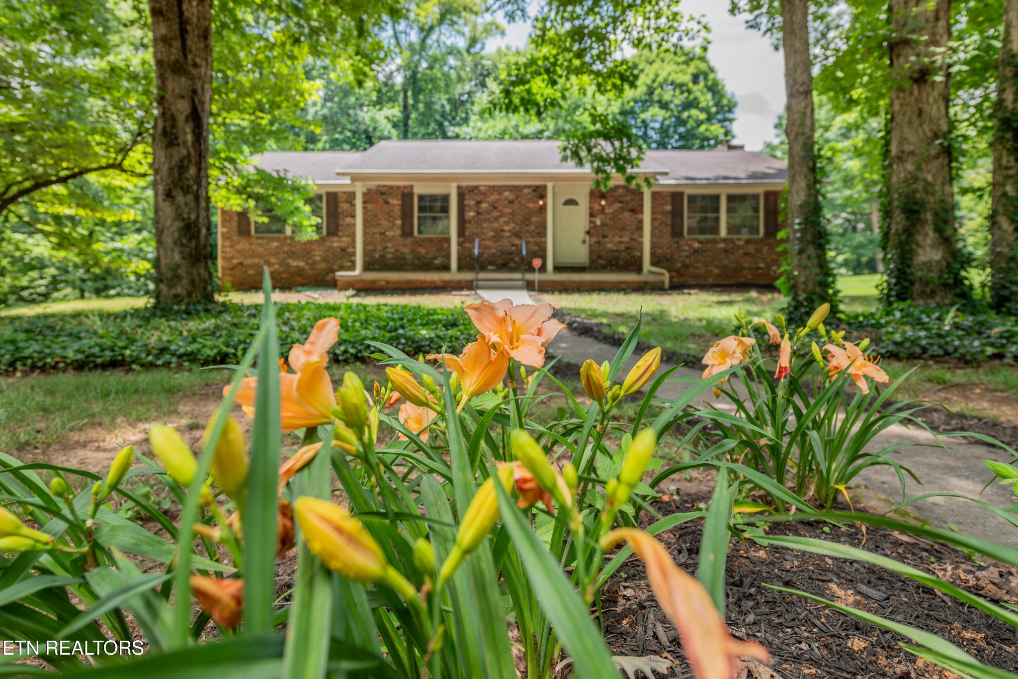 1105 Delray Road Knoxville, TN 37923 - Photo 1 of 35 Gallery Image 1