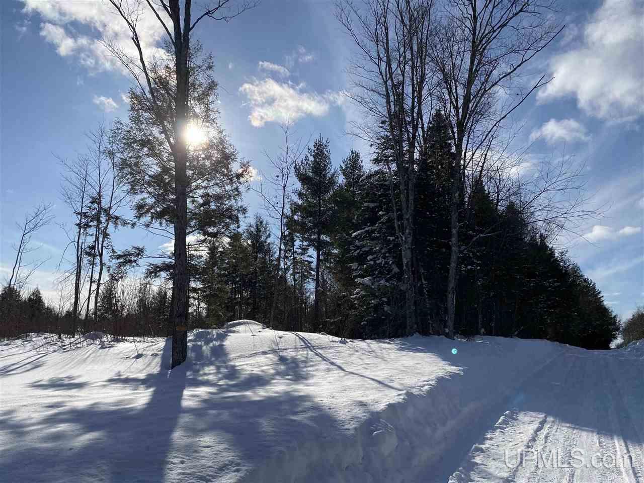 Tbd Halverson Road Skandia, MI 49885 - Photo 3 of 14