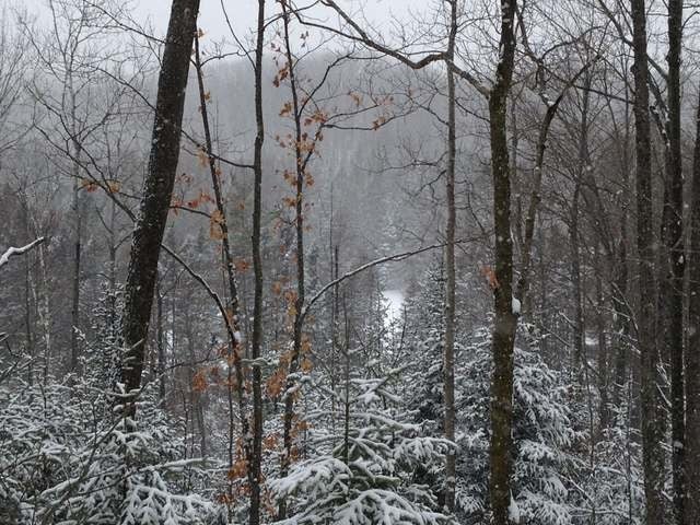 40-acres Hilts Lake Road Rhinelander, WI 54501 - Photo 17 of 18 Gallery Image 17