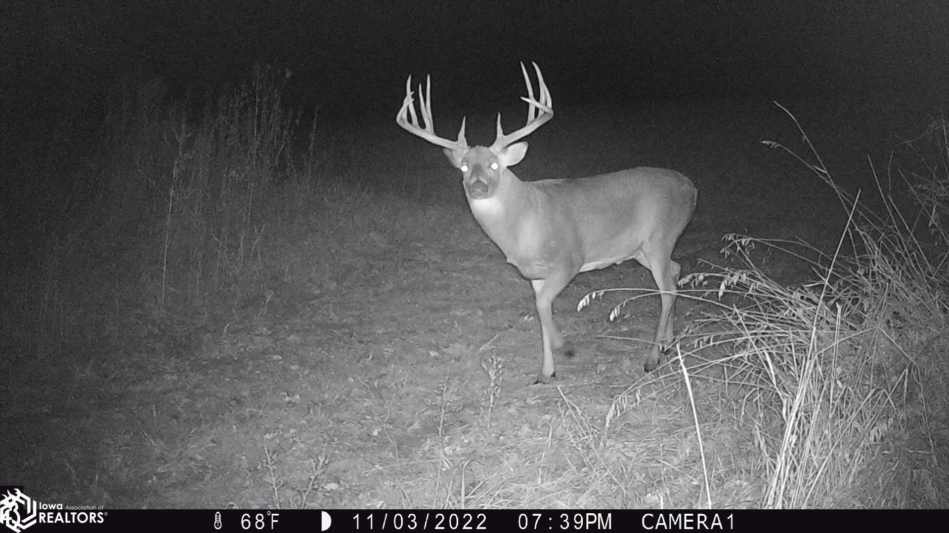 26845 County Road R52 Leon, IA 50144 - Photo 37 of 92 Gallery Image 37
