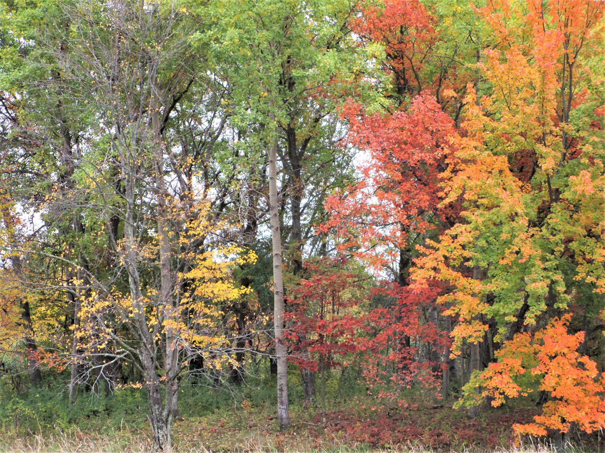 1 90th Street Frederic, WI 54837 - Photo 1 of 1 Gallery Image 1