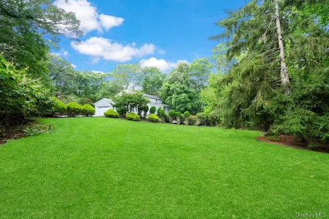 a view of yard with green space