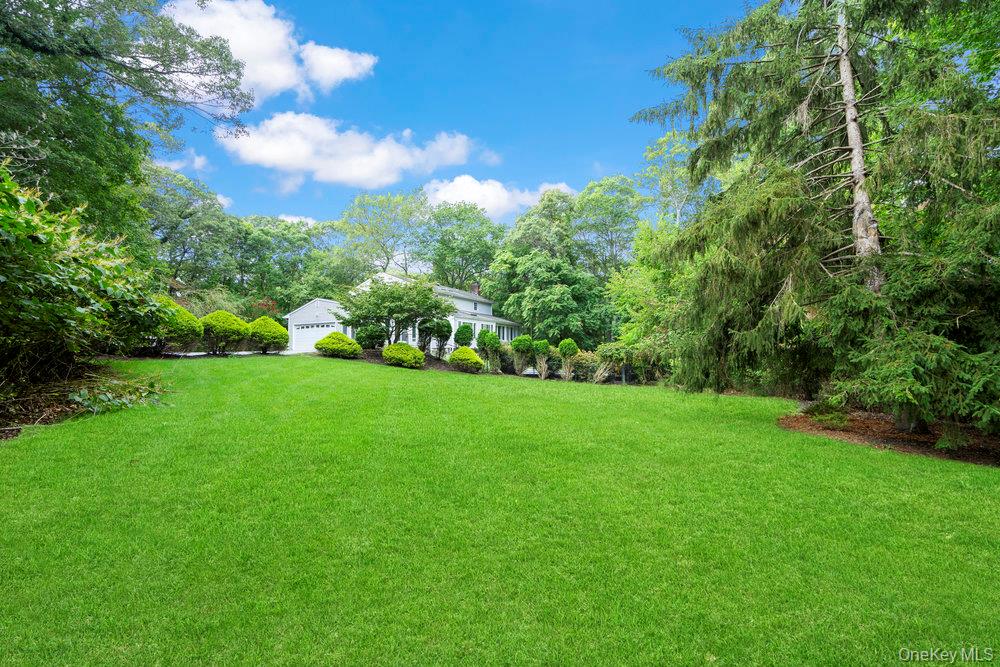 83 Shore Road Mount Sinai, NY 11766 - Photo 29 of 33 a view of yard with green space