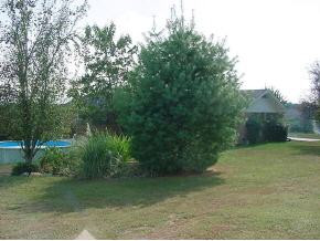 126 Sam Aiken Road Telford, TN 37690 - Photo 4 of 9 Photo 4