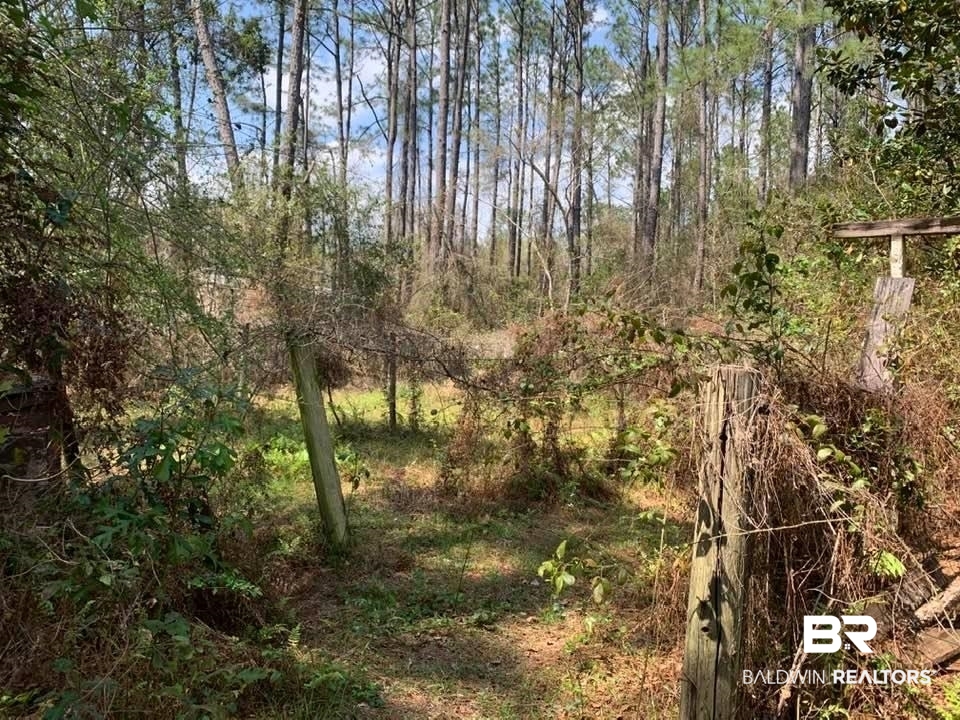 26264 Feely Road Elberta, AL 36530 - Photo 15 of 30 Gallery Image 15