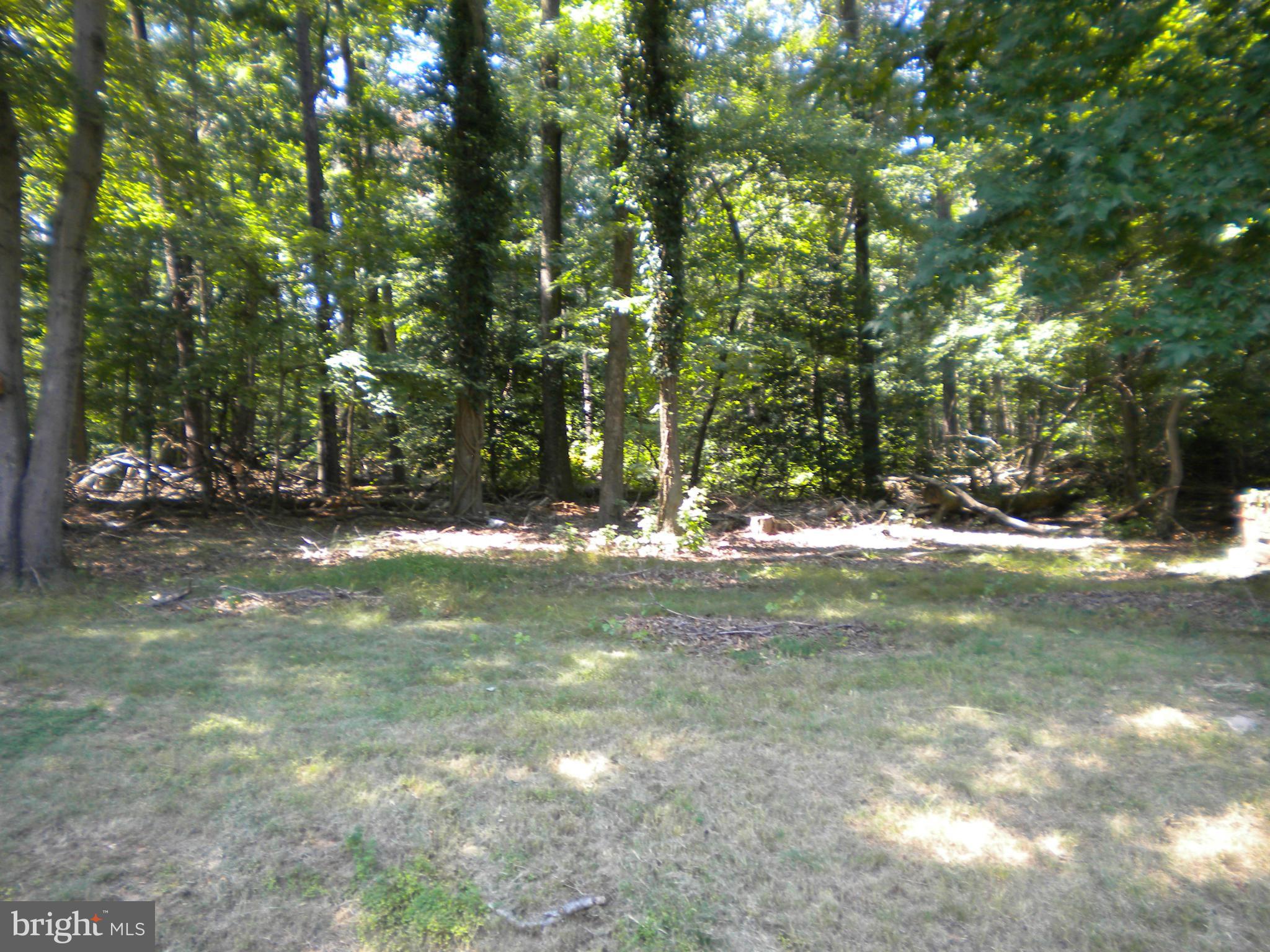 6822 Trexler Road Hyattsville, MD 20784 - Photo 25 of 27 View from deck. Backs to woods