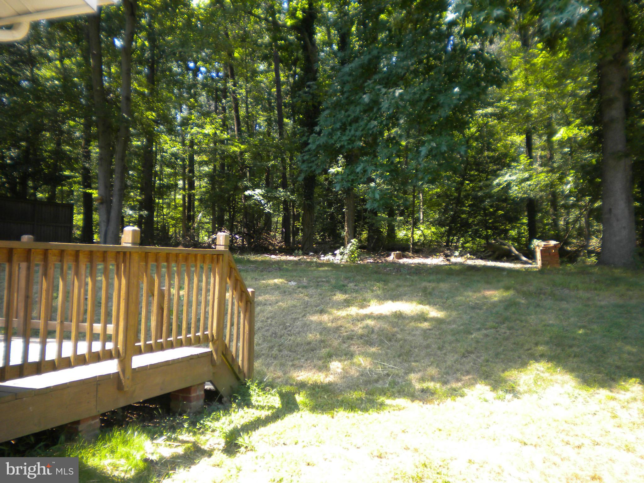 6822 Trexler Road Hyattsville, MD 20784 - Photo 26 of 27 Private Backyard