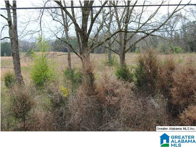 1637 Providence Road Talladega, AL 35160 - Photo 5 of 13