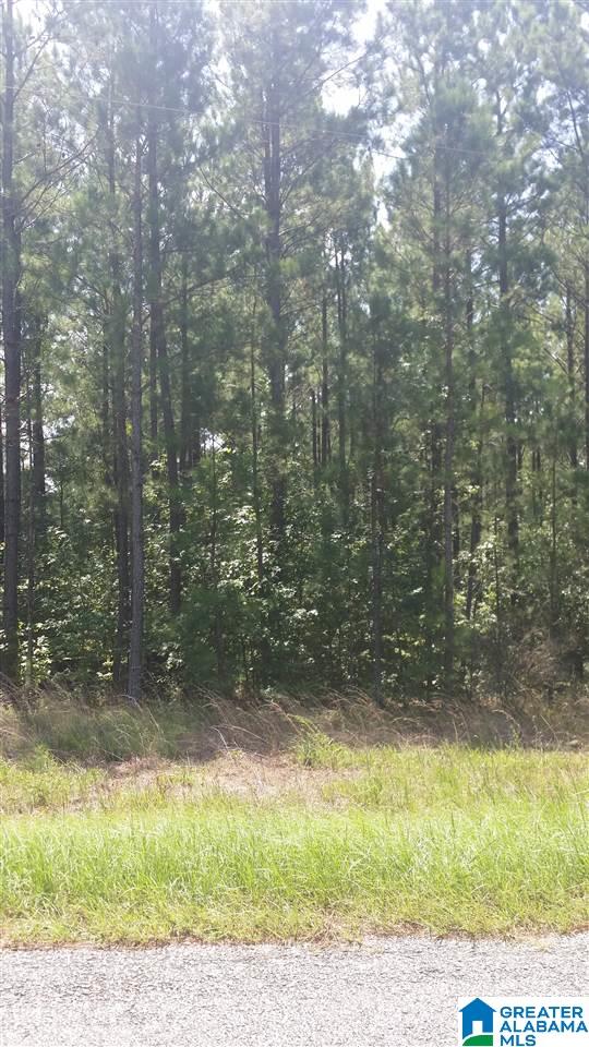 Country Club Road, Unit 7 Roanoke, AL 36274 - Photo 4 of 4