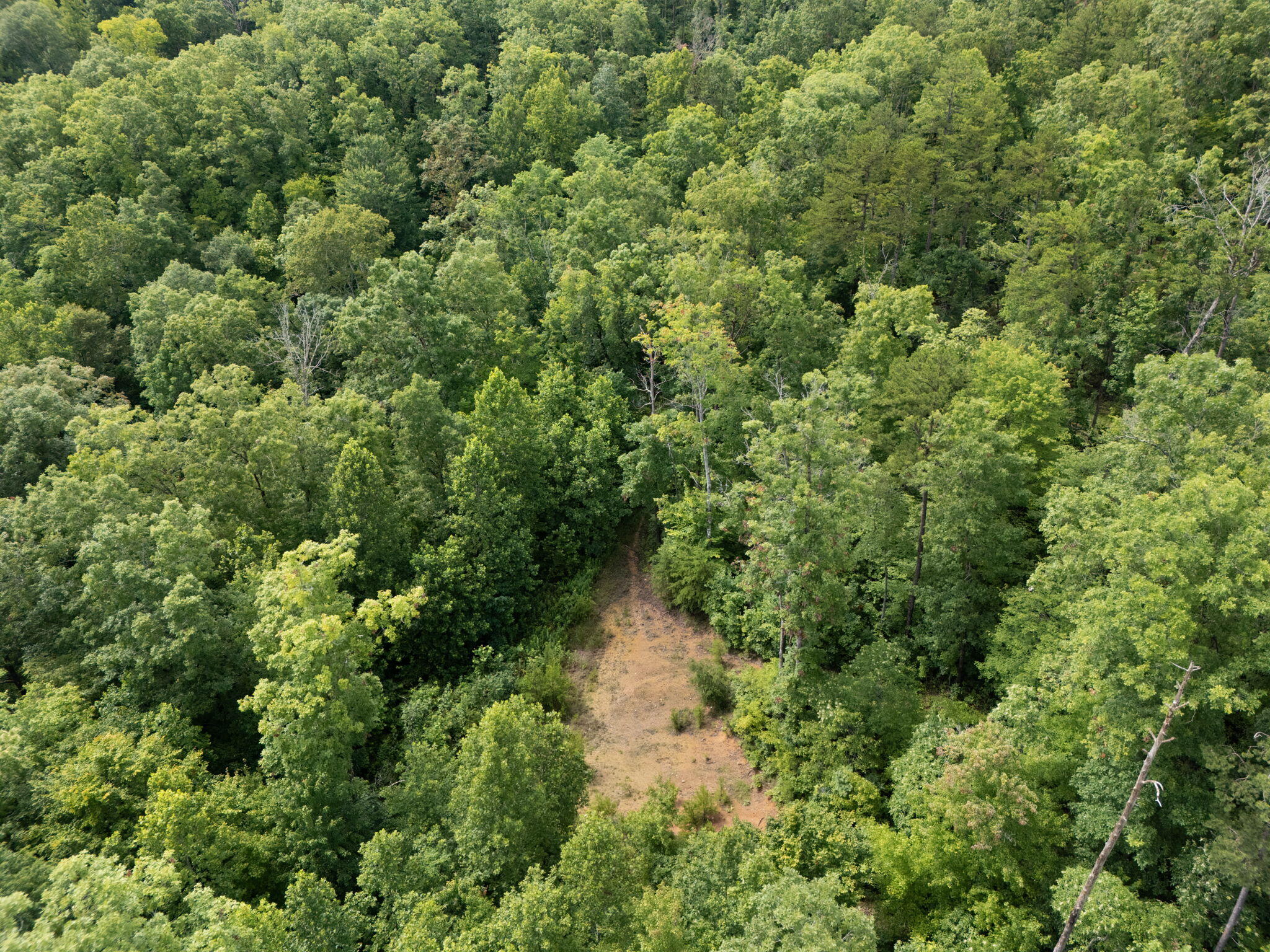 2401 Belle Point Road Beattyville, KY 41311 - Photo 17 of 28 17-web-or-mls-DJI_20250701160344_0288_D