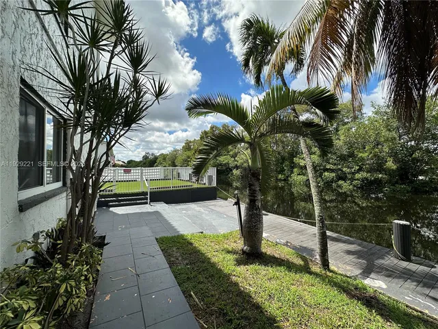 a view of a park with palm trees