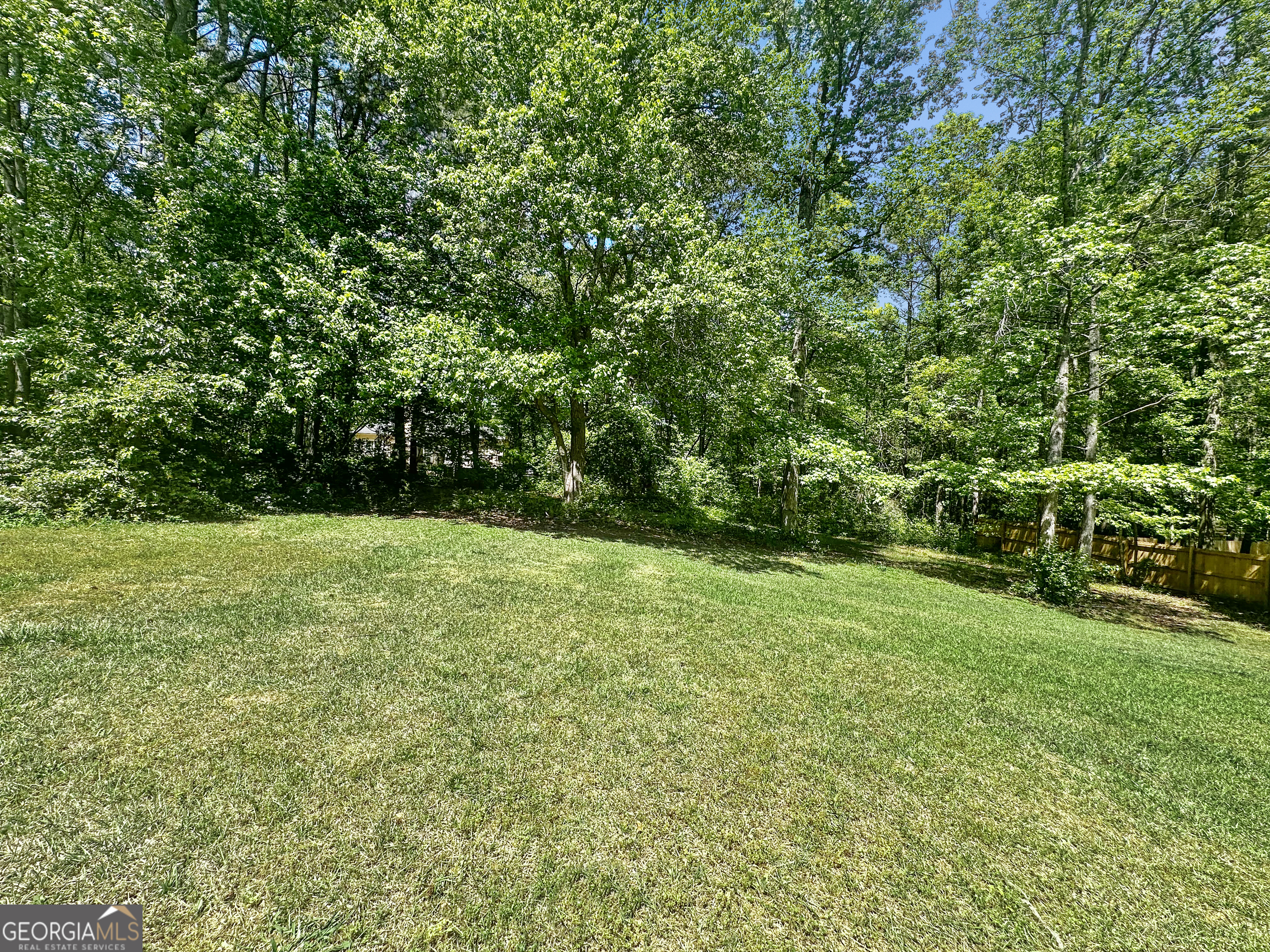 368 Wesley Mill Place Villa Rica, GA 30180 - Photo 17 of 18 a view of a yard with a trees