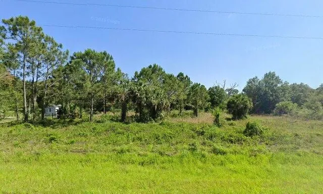 a view of a lush green space