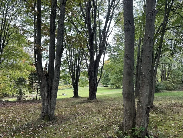 $149,000 | 4018 Highland Avenue, Great Valley, NY 14779