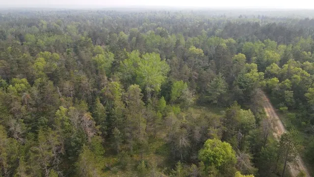 $174,900 | Parcel C Cherry Creek Road, Grayling, MI 49738