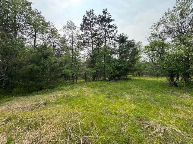 $174,900 | Parcel C Cherry Creek Road, Grayling, MI 49738
