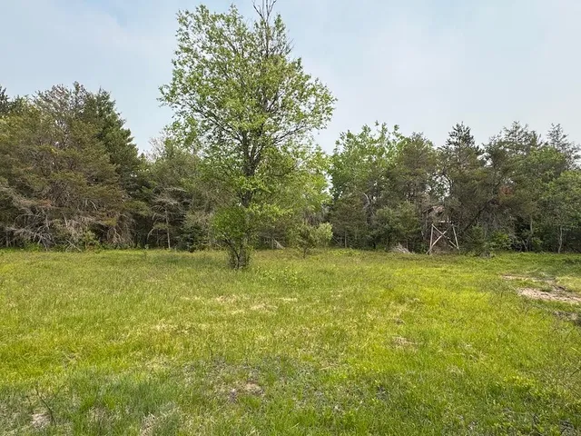 $174,900 | Parcel C Cherry Creek Road, Grayling, MI 49738