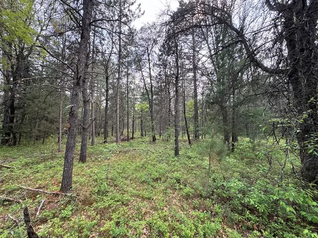 $174,900 | Parcel C Cherry Creek Road, Grayling, MI 49738