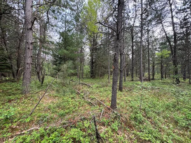 $174,900 | Parcel C Cherry Creek Road, Grayling, MI 49738