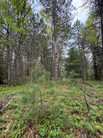 $174,900 | Parcel C Cherry Creek Road, Grayling, MI 49738