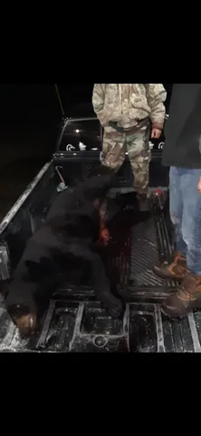 $174,900 | Parcel C Cherry Creek Road, Grayling, MI 49738