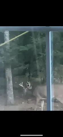 $174,900 | Parcel C Cherry Creek Road, Grayling, MI 49738