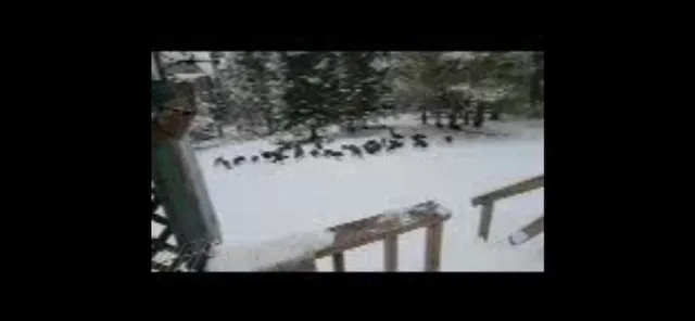 $174,900 | Parcel C Cherry Creek Road, Grayling, MI 49738