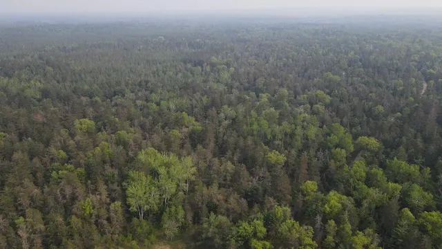 $174,900 | Parcel C Cherry Creek Road, Grayling, MI 49738