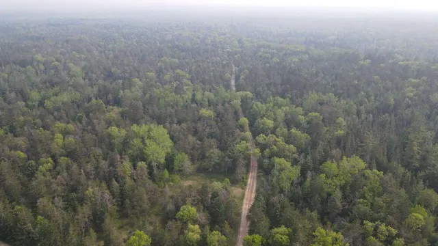 $174,900 | Parcel C Cherry Creek Road, Grayling, MI 49738