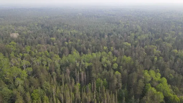 $174,900 | Parcel C Cherry Creek Road, Grayling, MI 49738