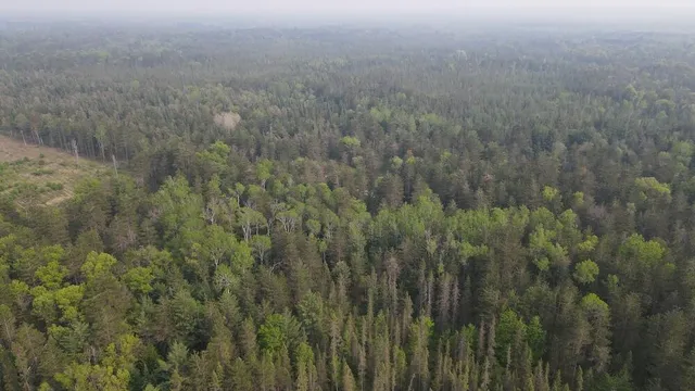 $174,900 | Parcel C Cherry Creek Road, Grayling, MI 49738