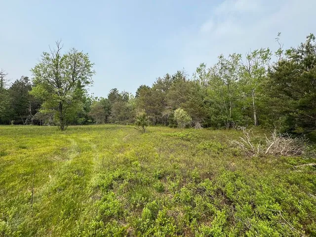$174,900 | Parcel C Cherry Creek Road, Grayling, MI 49738