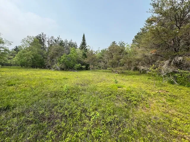 $174,900 | Parcel C Cherry Creek Road, Grayling, MI 49738