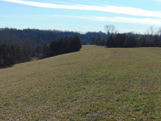 1355 Squiresville Road Owenton, KY 40359 - Photo 28 of 49 Photo 29