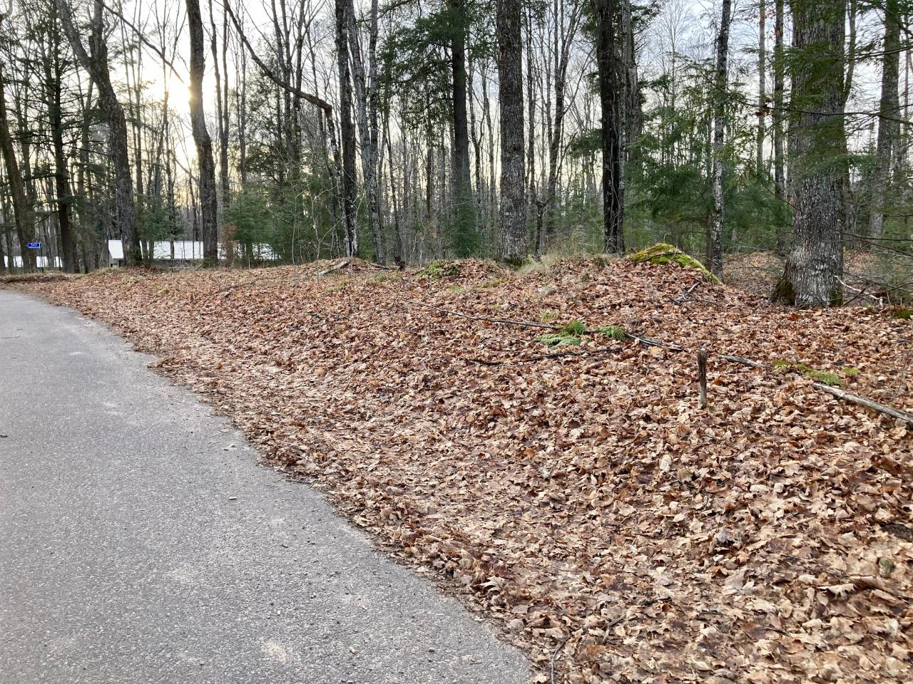 On Grass Lake Road, Unit LOT 2 Pickerel, WI 54465 - Photo 3 of 7 Gallery Image 3