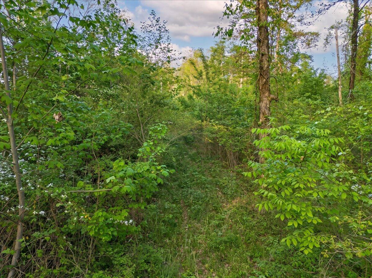 0 Sequatchie Mountain Road Sequatchie, TN 37374 - Photo 8 of 28 23-hf_20260418_011409_bf4782ab-160a-43dd