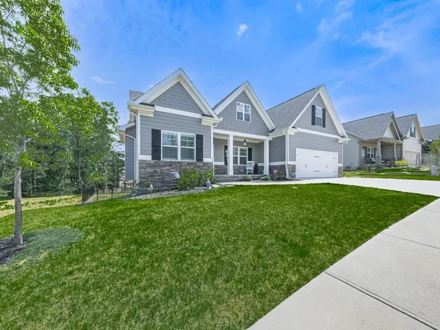 a backyard of a house with plants and large tree