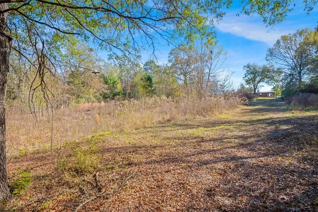 a view of a city with lush green forest