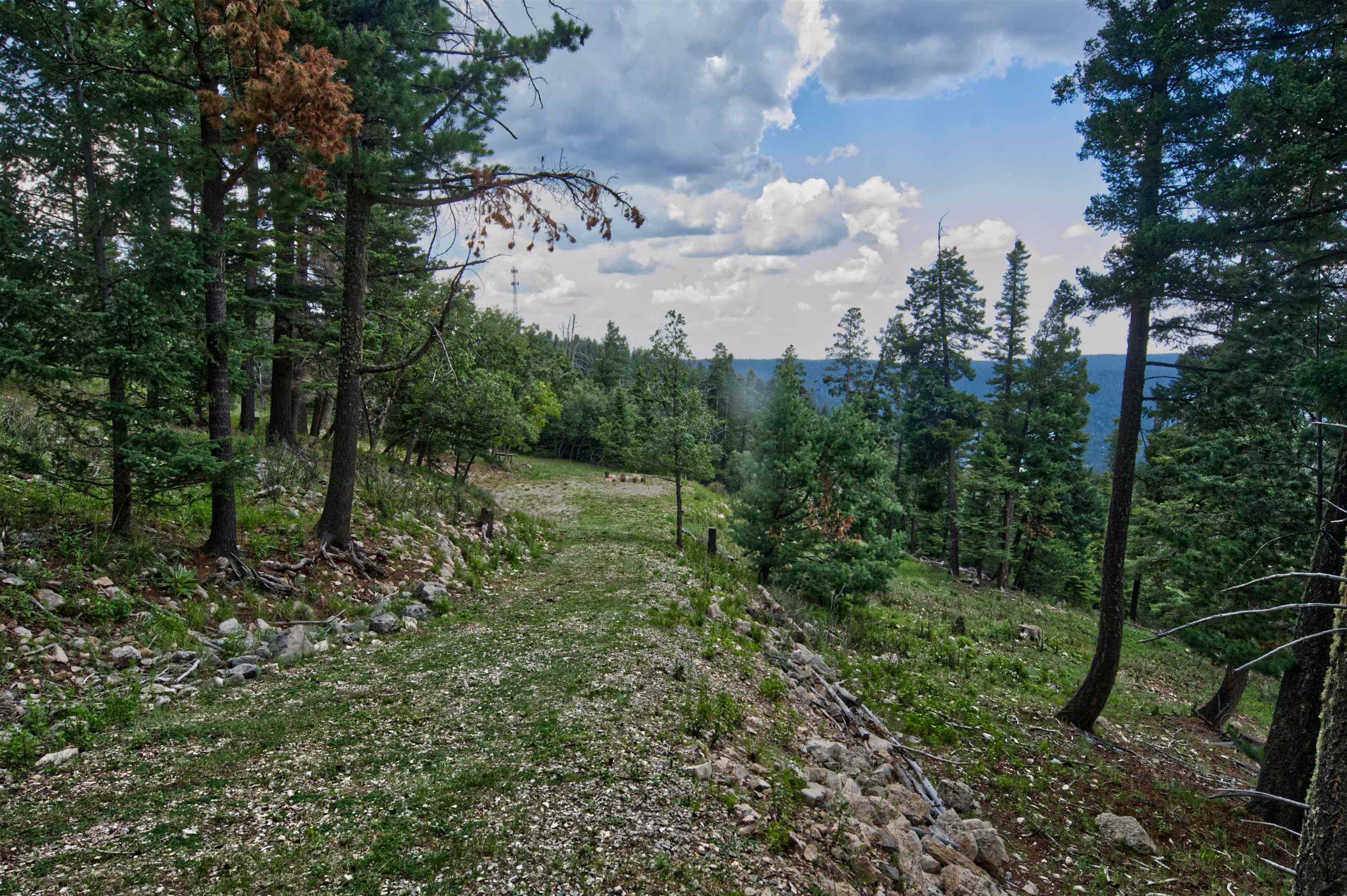 33 Clear Sky Road Cloudcroft, NM 88317 - Photo 13 of 23 Gallery Image 13