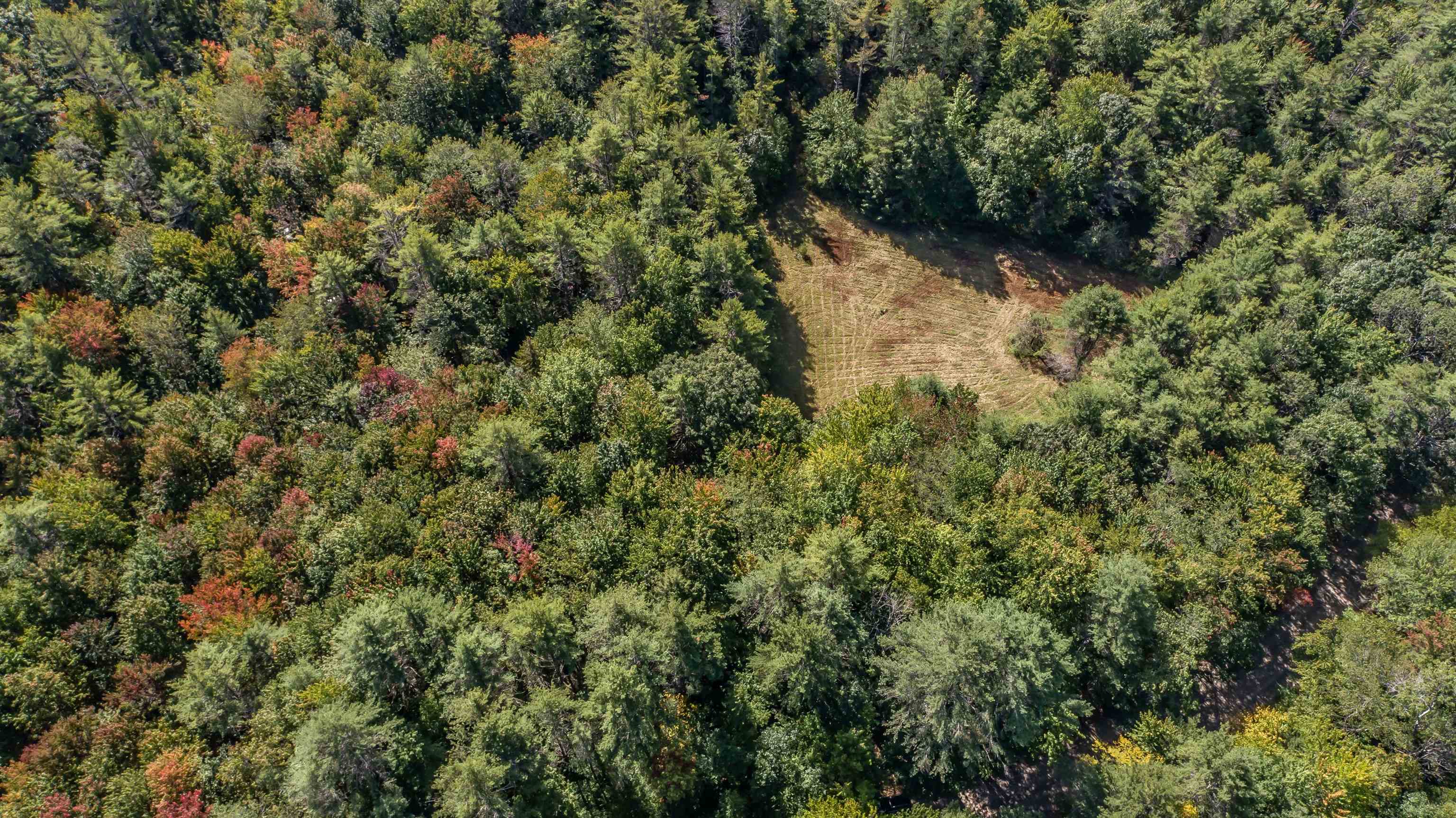 Lot 35-2 Cavender Road Greenfield, NH 03047 - Photo 3 of 4