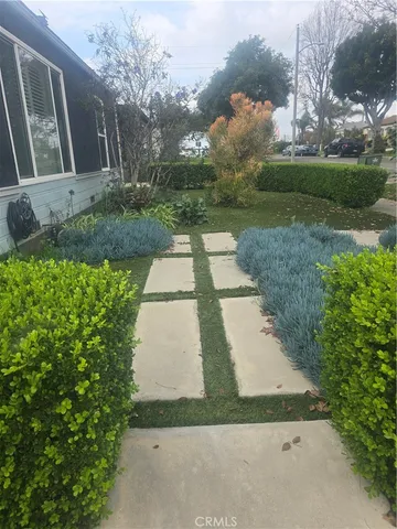 a view of backyard with pathway