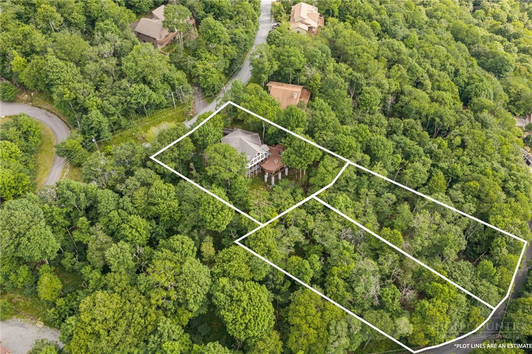 130 Raven Road Beech Mountain, NC 28604 - Photo 7 of 35 Gallery Image 7