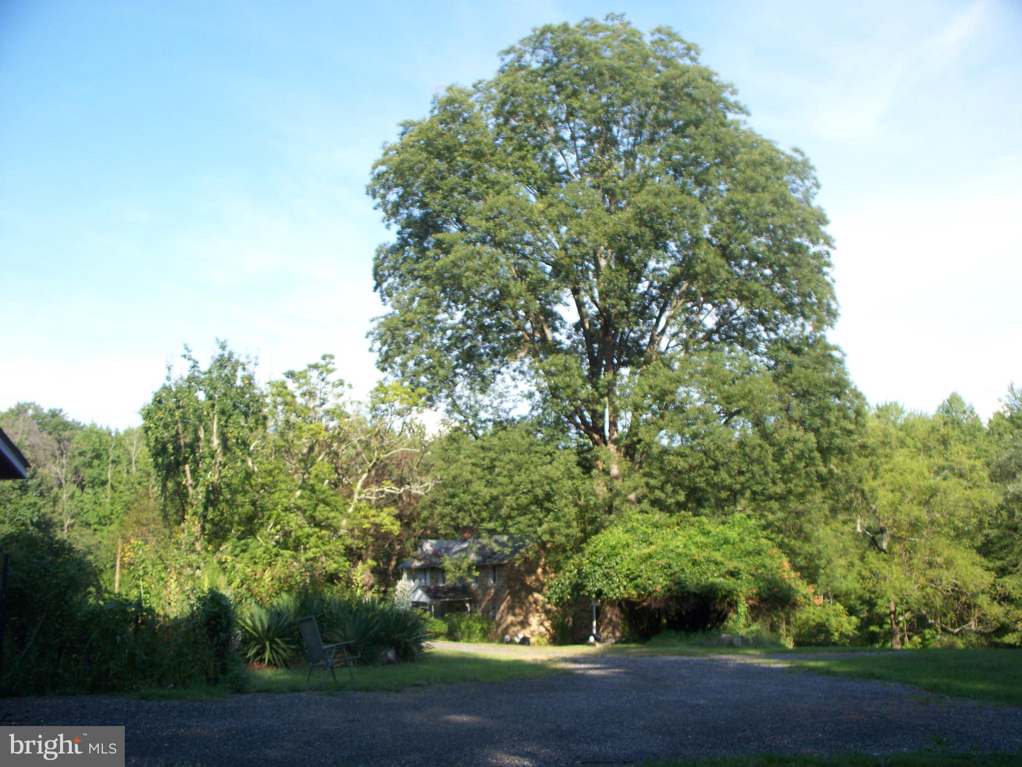 2507 Franklinville Road Joppa, MD 21085 - Photo 23 of 35 Driveway