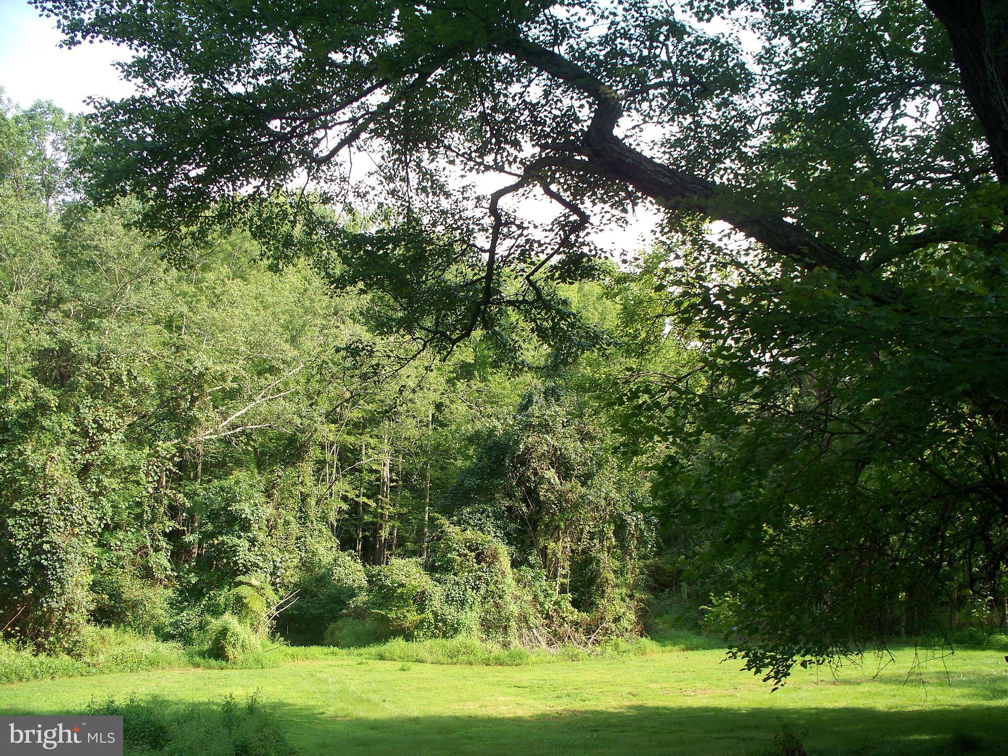 2507 Franklinville Road Joppa, MD 21085 - Photo 29 of 35 Rear Yard