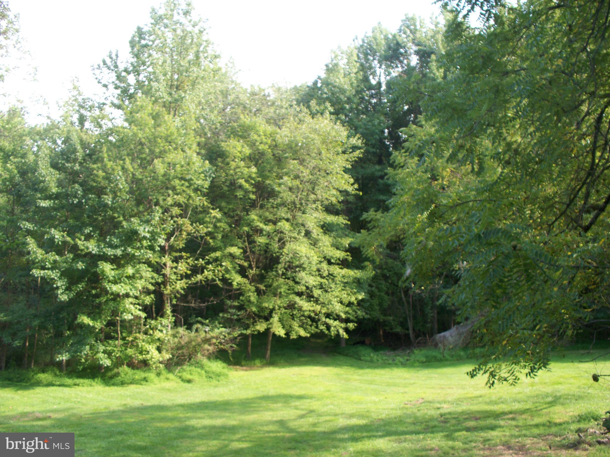 2507 Franklinville Road Joppa, MD 21085 - Photo 30 of 35 Rear Yard