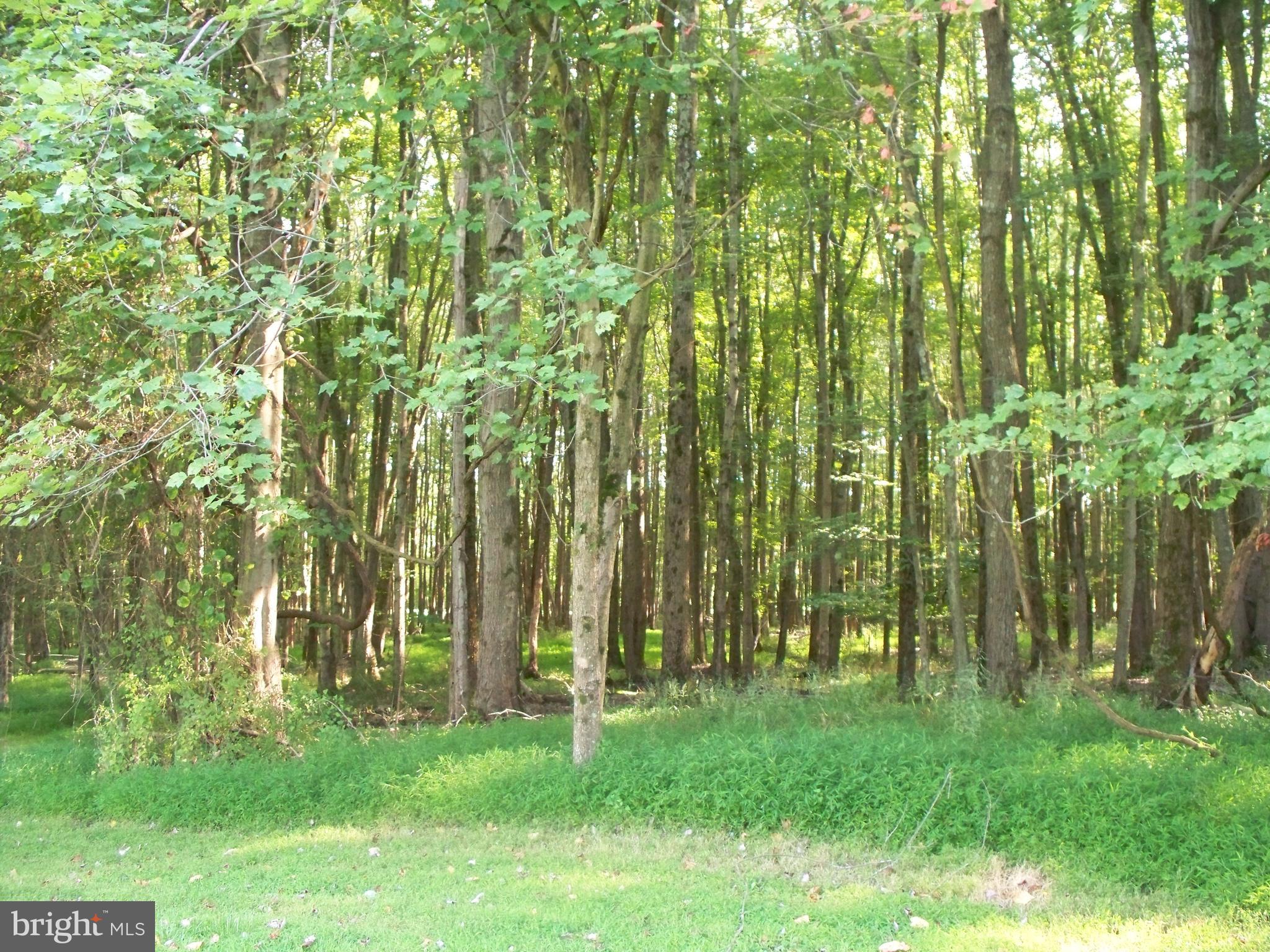2507 Franklinville Road Joppa, MD 21085 - Photo 32 of 35 Rear Yard