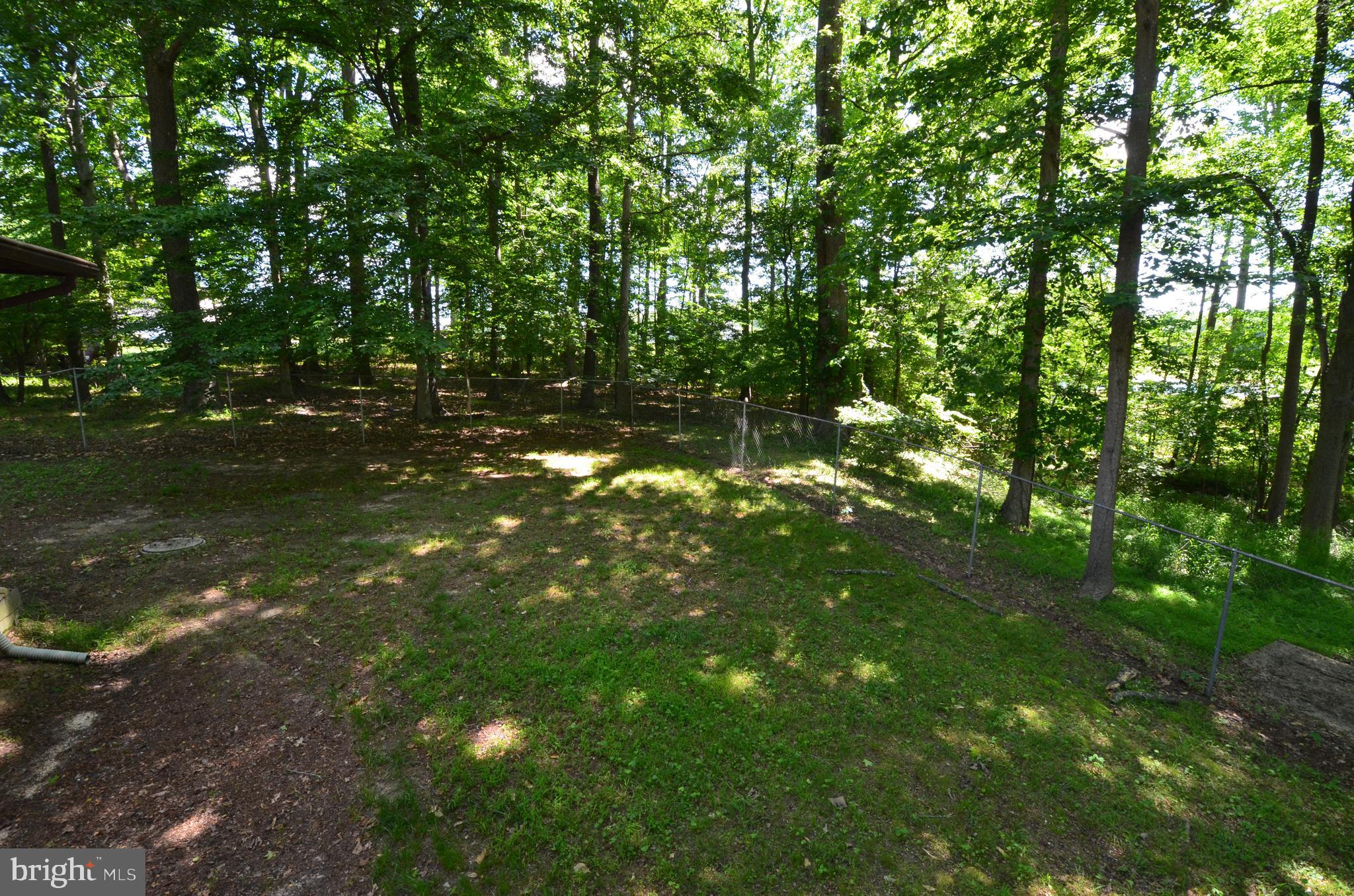 3221 Hunting Creek Road Huntingtown, MD 20639 - Photo 22 of 27 Rear yard
