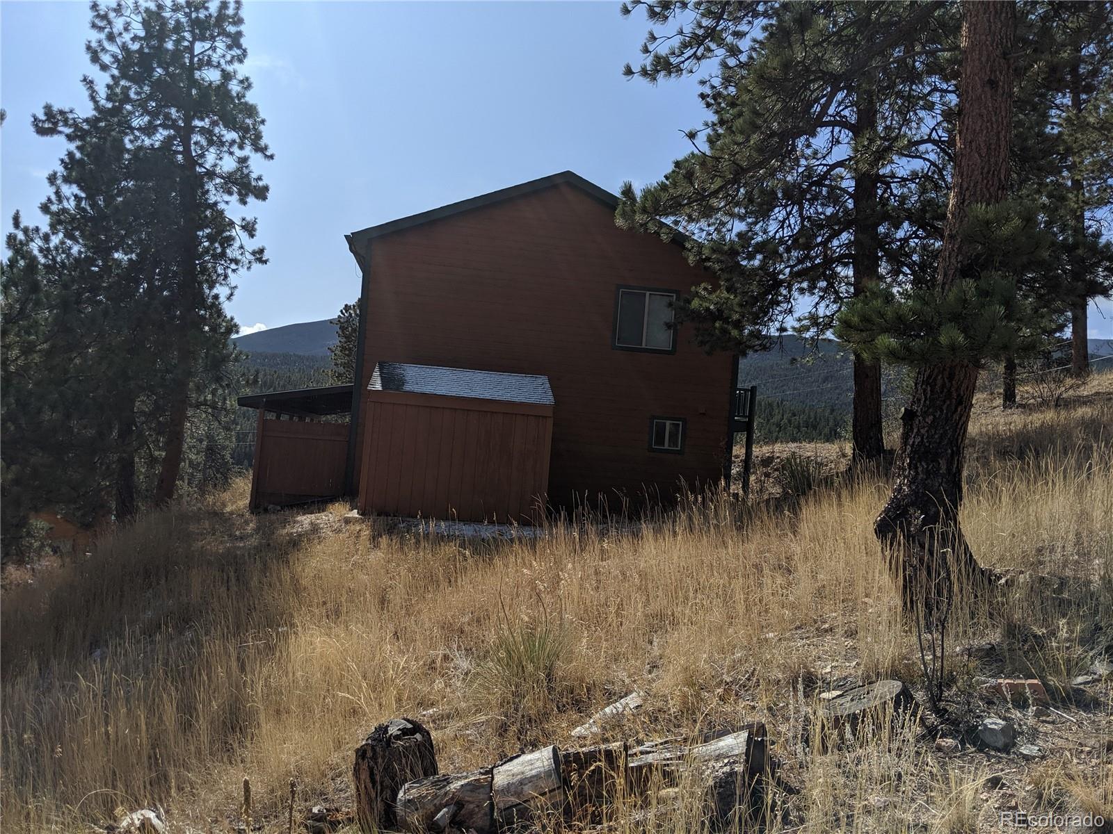 304 Virginia Road Bailey, CO 80421 - Photo 21 of 26 Gallery Image 21