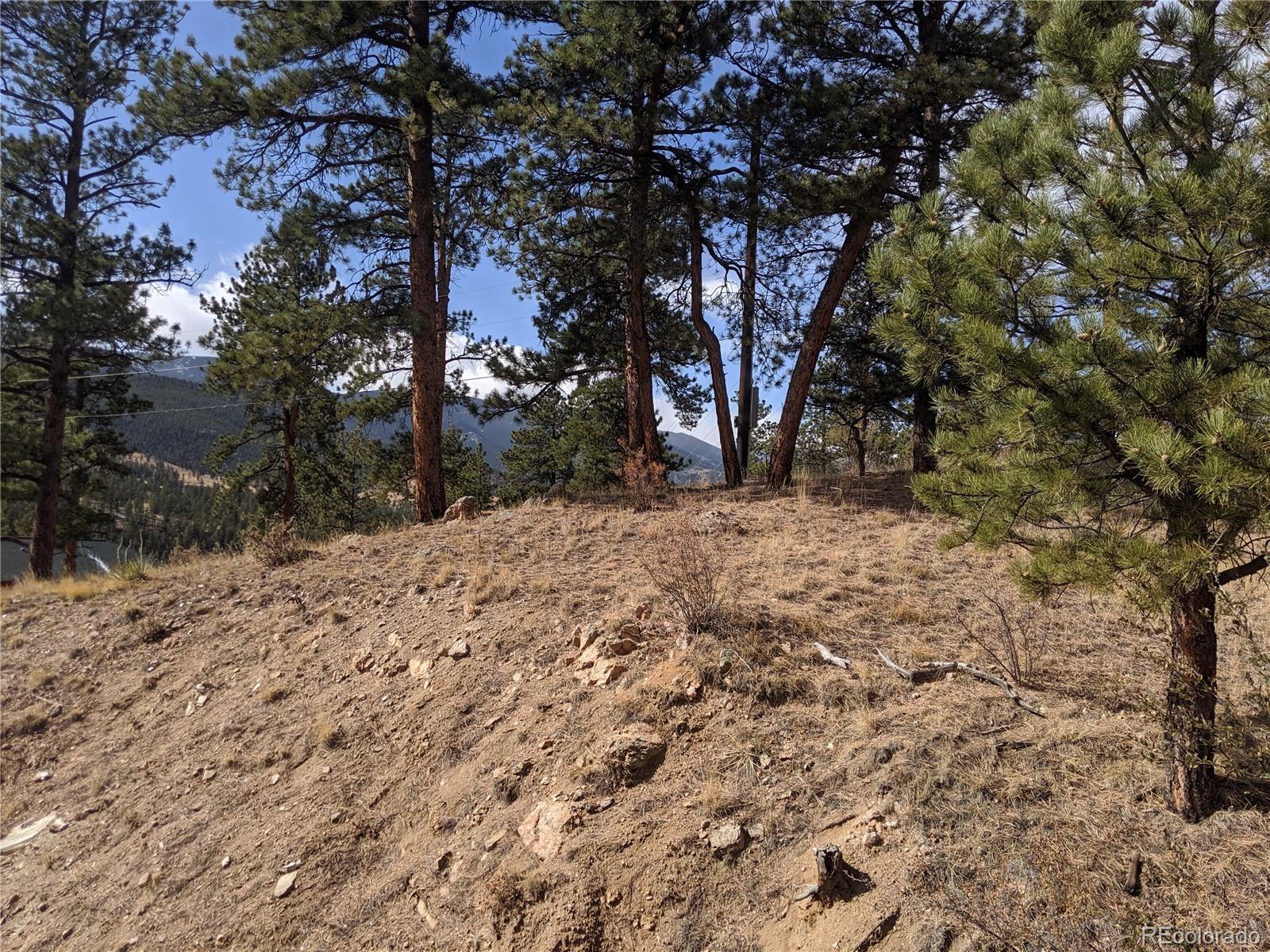 304 Virginia Road Bailey, CO 80421 - Photo 23 of 26 Gallery Image 23